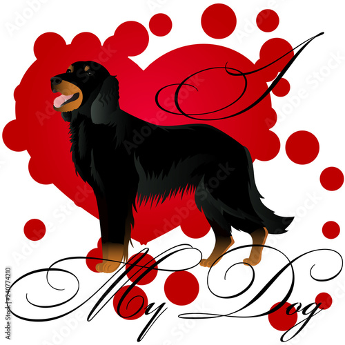 I love my gordon setter