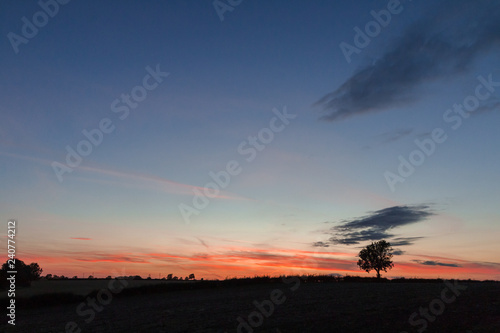 Lone Tree At Sunset © Adam