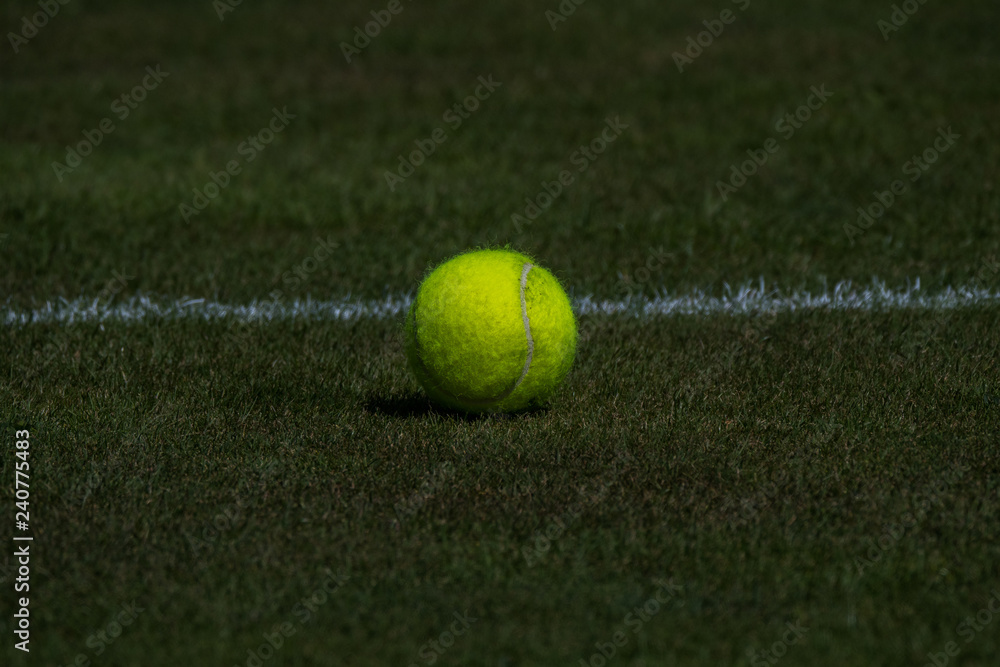 Tennisball auf einem Rasenplatz