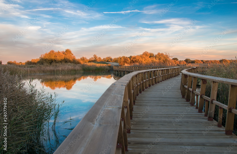 Puente de madera sobre un lago en la estación de otoño. Parque Nacional de las Tablas de Daimiel. Ciudad Real. España.
