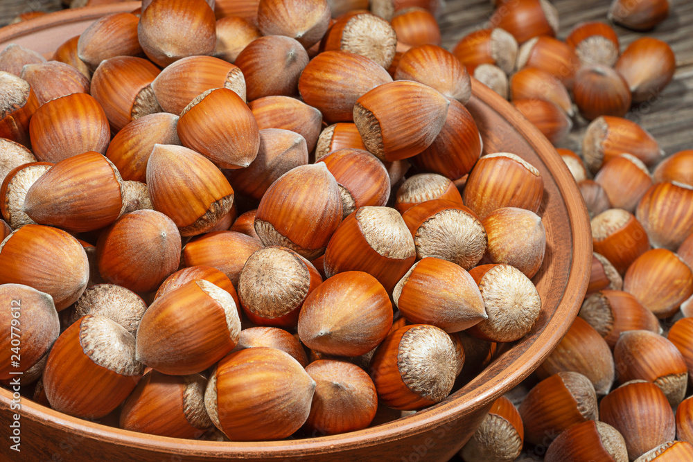 Hazelnuts nuts in a ceramic bowl on rustic background. Hazelnuts nuts in a ceramic bowl on rustic background.