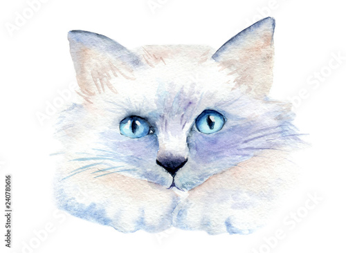 Photography watercolor drawing of a cat with bright eyes