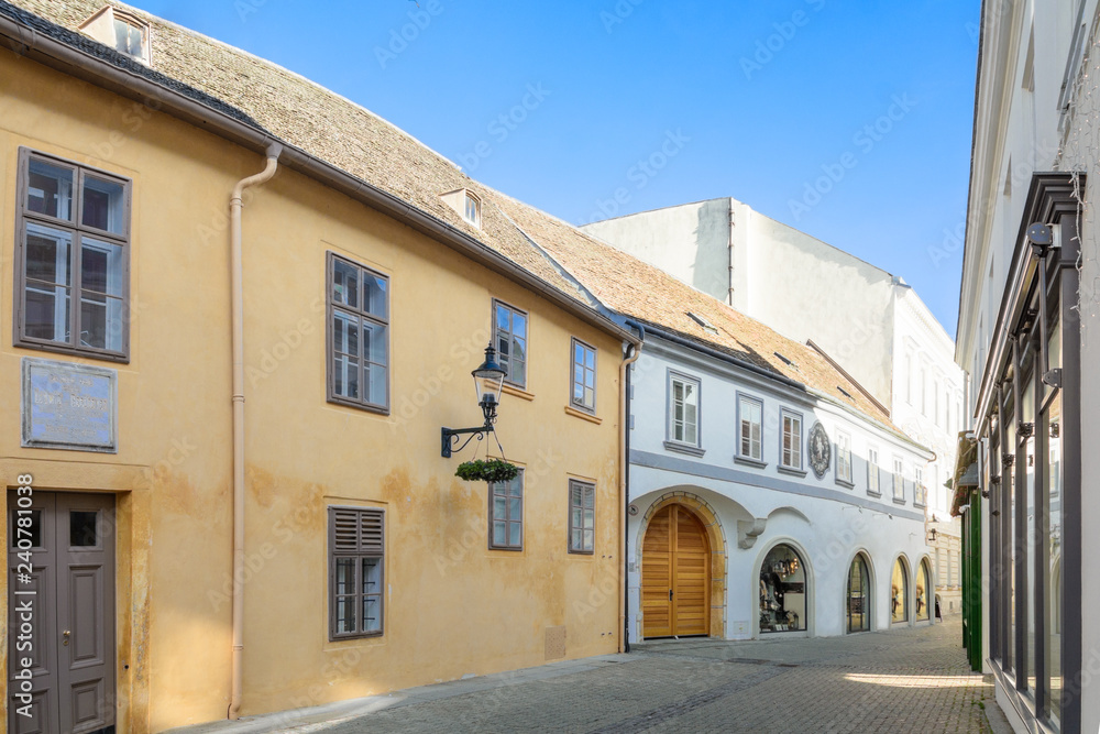 A street in the city of Baden near Vienna after Christmas. Austria