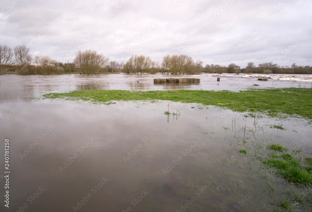 Flooded field landscape image