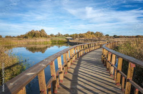 Puente de madera en el Parque Nacional de las Tablas de Daimiel. Ciudad Real. España.