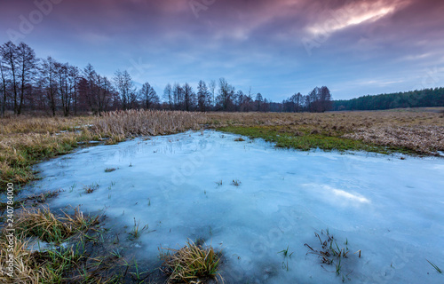small frozen lake on forest meadow