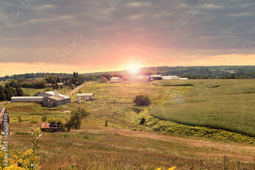 Countryside landscape during sunny summer day. Woods and sunset in background. © michelaubryphoto