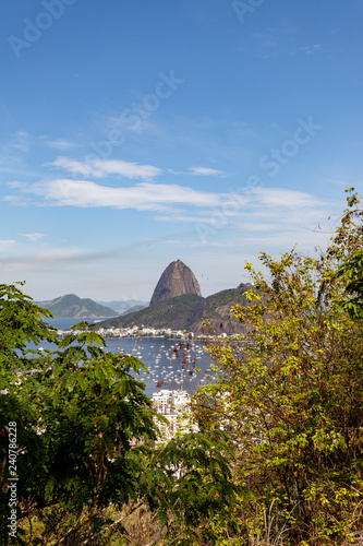 Sugarloaf in Rio de Janeiro seen trough greenery from a high vantage point with the city and port in the foreground on a bright day with blue sky © Maarten Zeehandelaar