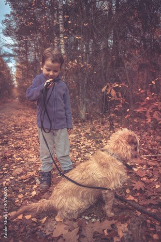 Little caucasian girl walking with the dog in the autumn park