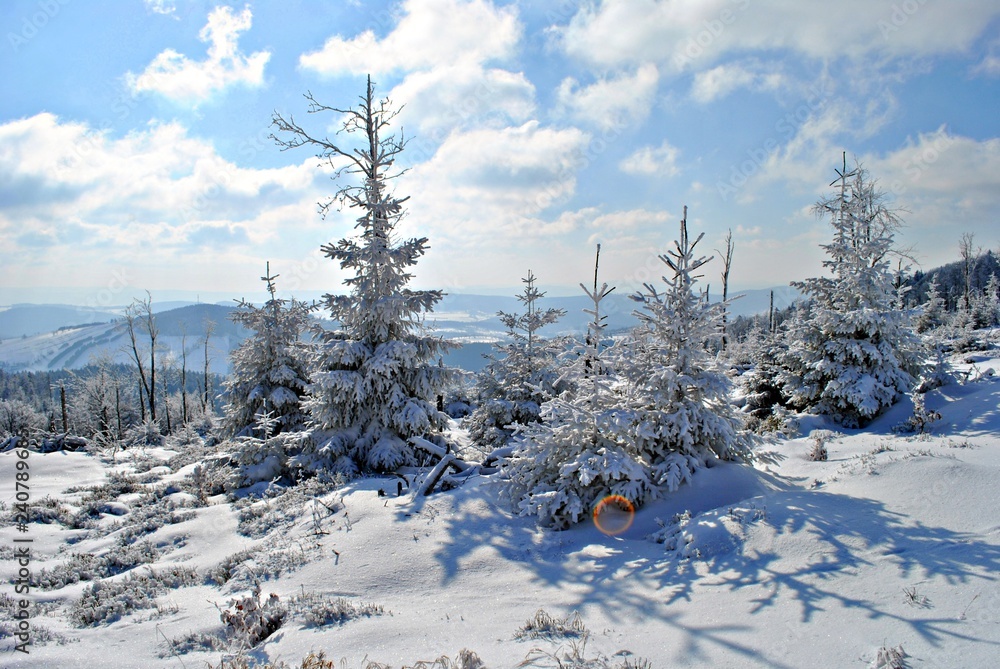 Fototapeta premium Pejzaż zimowy