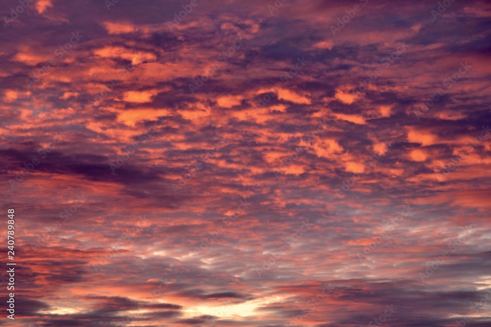 Fototapeta premium Sunrise