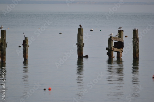 Dorset Coast