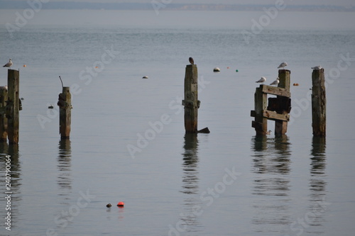Dorset Coast