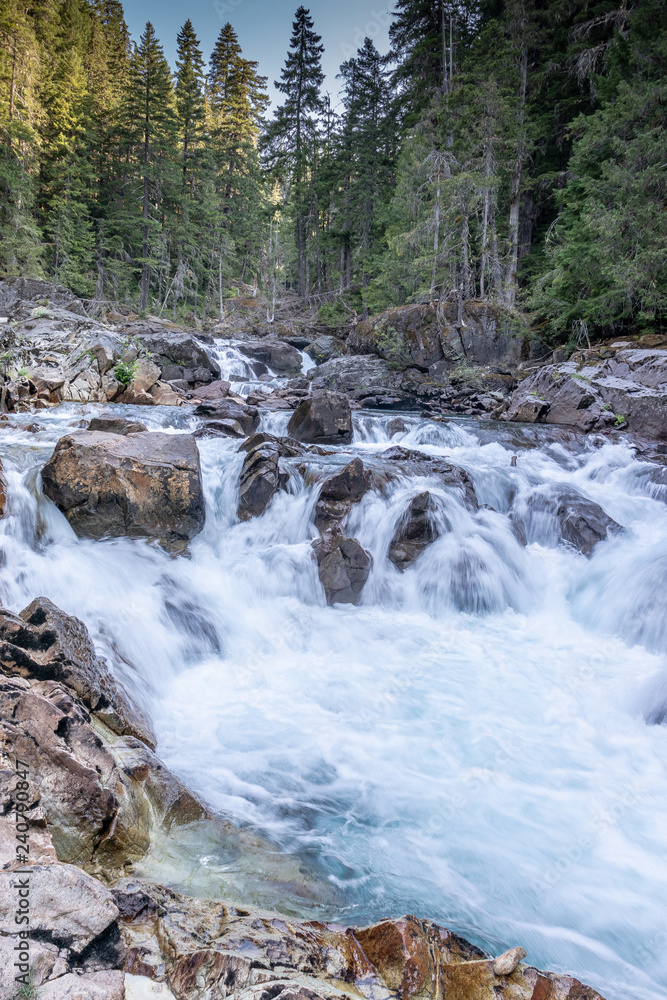 Creek near Mt. Rainier