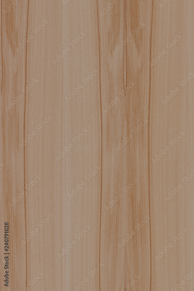 ash-tree tree timber wood surface wallpaper structure texture background ash-tree tree timber wood surface wallpaper structure texture background