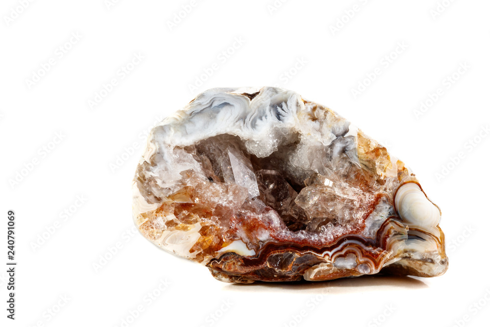 Macro mineral stone agate kidney gerbera on white background close up Macro mineral stone agate kidney gerbera on white background close up