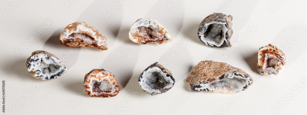 Macro mineral stone agate kidney gerbera on white background close up Macro mineral stone agate kidney gerbera on white background close up