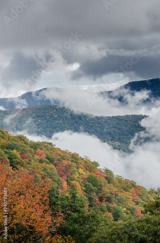 Layers of Fog and Mountains in Fall Vertical