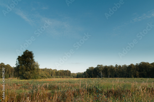 Blue Sky Over Empty Park