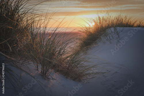 D  nen in der Abendsonne mit Blick zur Nordsee