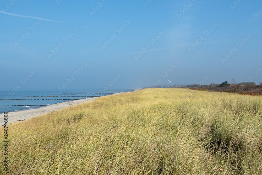 Düne Düne