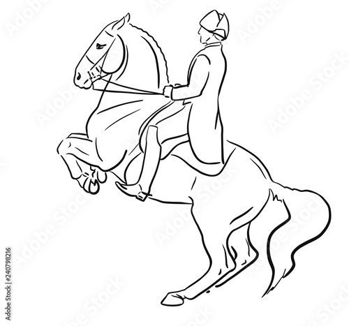 Higher school of riding. Illustration of a horse and rider executing a levade.