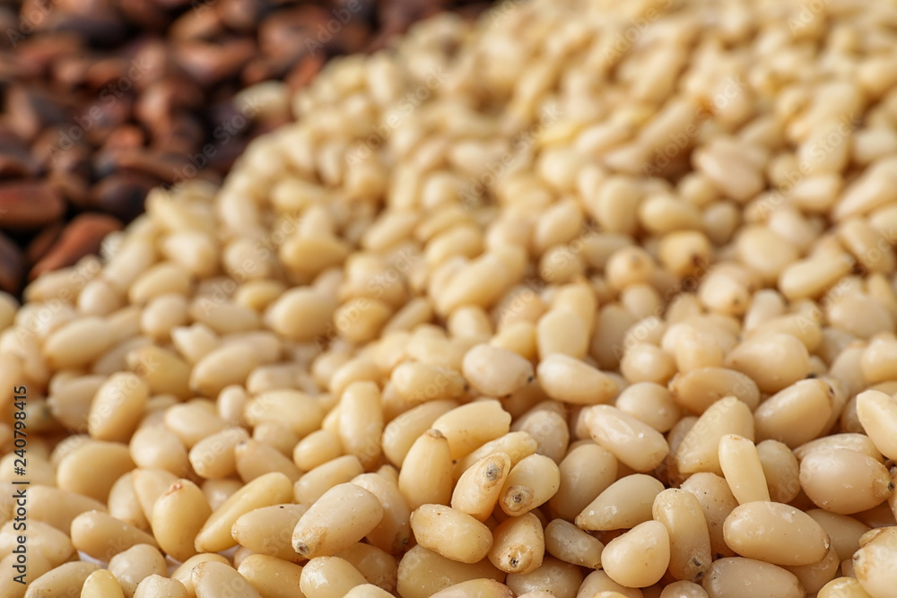 Pile of pine nuts as background, closeup Pile of pine nuts as background, closeup