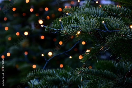 Lichterkette, Beleuchtung, Christbaum, Weihnachtsbaum, Tanne