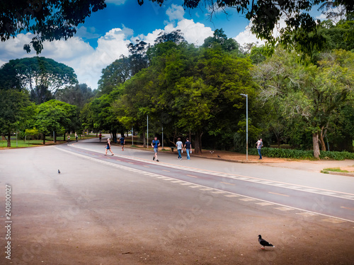 Ibirapuera, São Paulo.