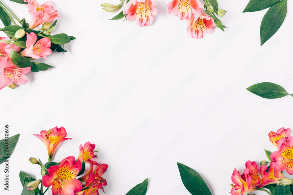 Flat lay decorative frame of lush pink lily flowers Flat lay decorative frame of lush pink lily flowers
