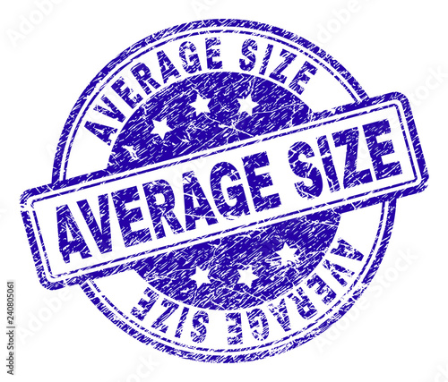 AVERAGE SIZE stamp seal watermark with distress texture. Designed with rounded rectangles and circles. Blue vector rubber print of AVERAGE SIZE text with corroded texture.