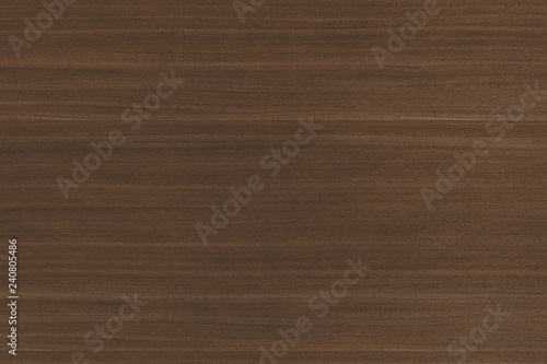 brown walnut tree timber wood structure texture background backdrop