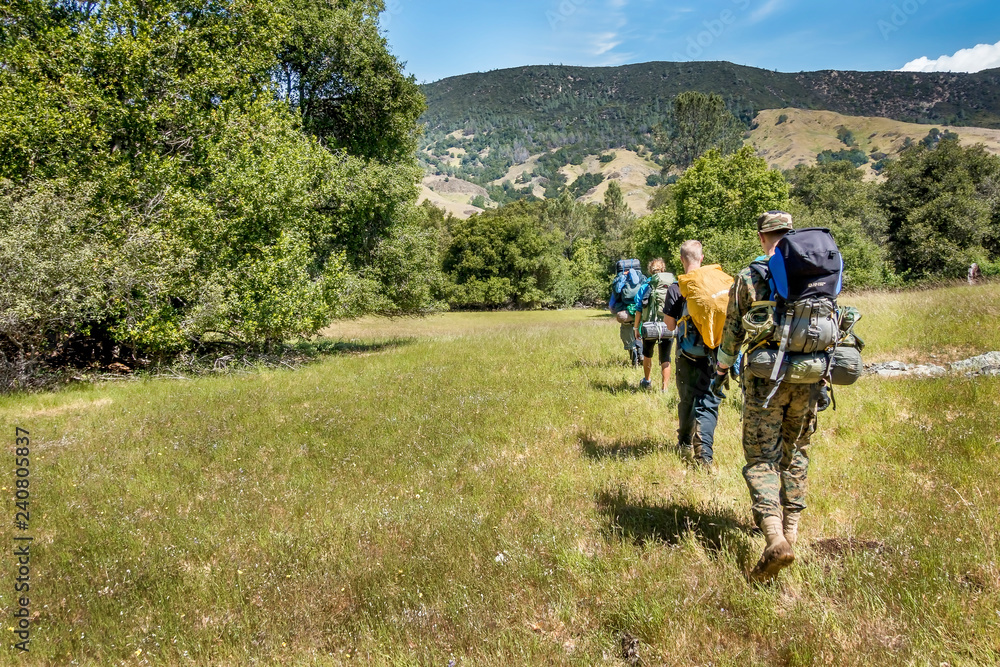 backpacking in the Meadow backpacking in the Meadow