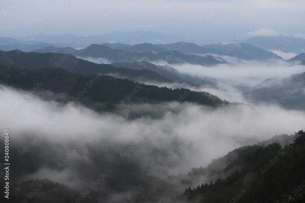 野迫川村の雲海