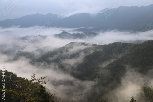 野迫川村の雲海