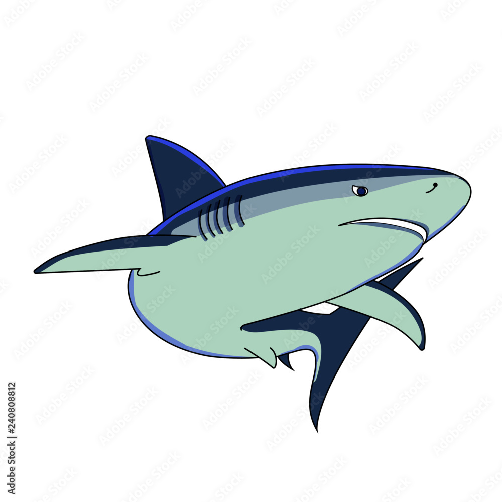 Obraz premium Tiburon Galapagos