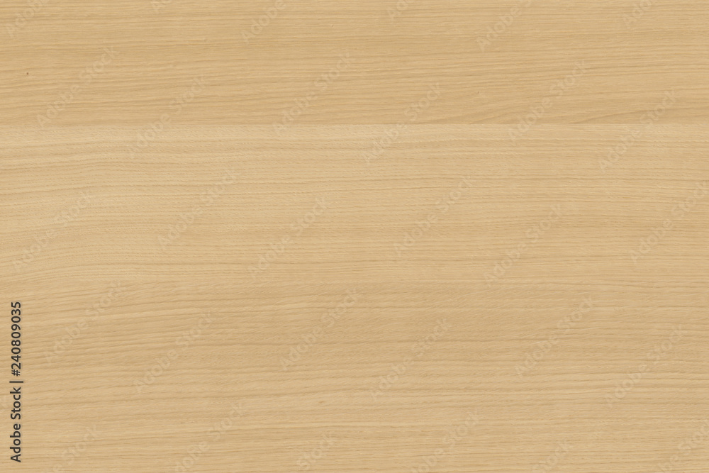 wood timber tree wooden backdrop structure texture background wallpaper wood timber tree wooden backdrop structure texture background wallpaper