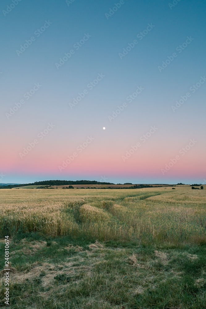 Field Sunset Gradient With Moon
