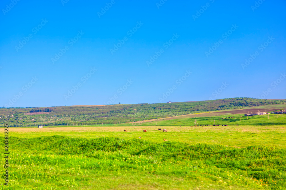 green country landscape