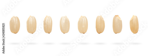 Bilde på lerret Brown rice isolated on white background