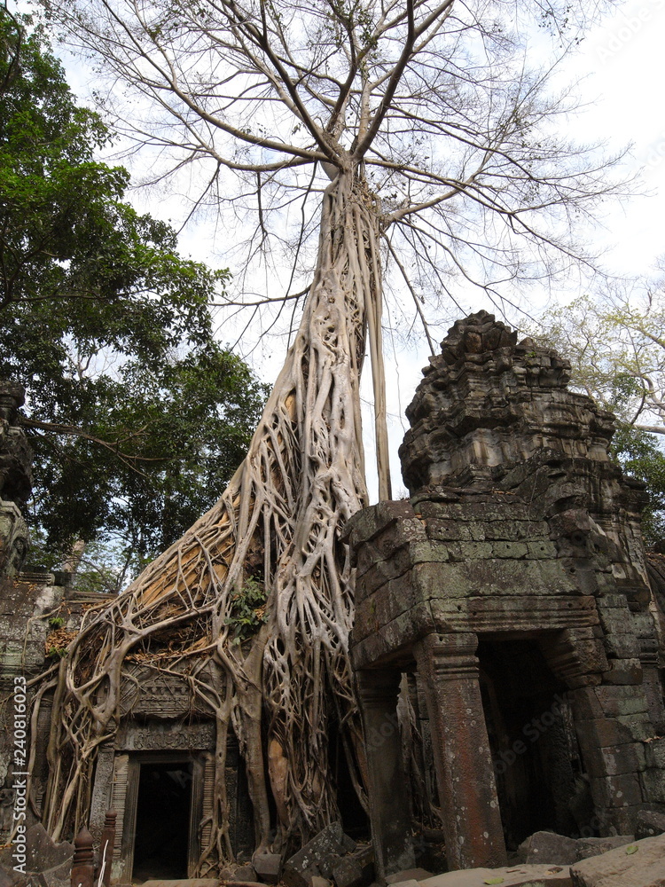 Siem Reap,Cambodia-March 9, 2008: Damaged buildings at Ta Prohm Temple in Siem Reap. Most roots were not covered or protected yet on year 2008.
Siem Reap,Cambodia-March 9, 2008: Damaged buildings at Ta Prohm Temple in Siem Reap. Most roots were not covered or protected yet on year 2008.