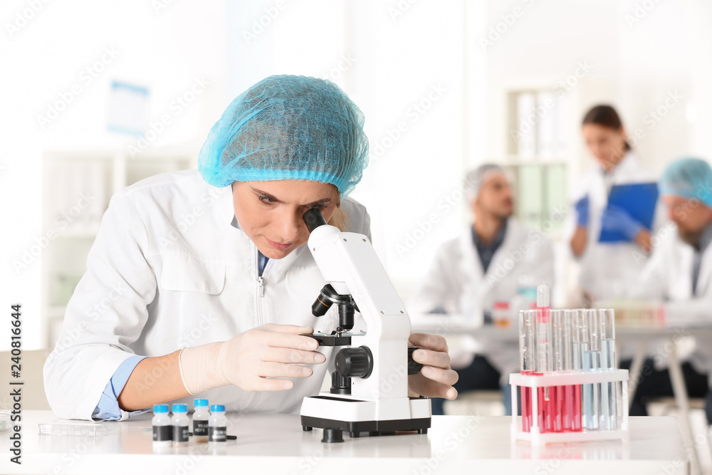 Female scientist working at table in laboratory, space for text. Research and analysis Female scientist working at table in laboratory, space for text. Research and analysis