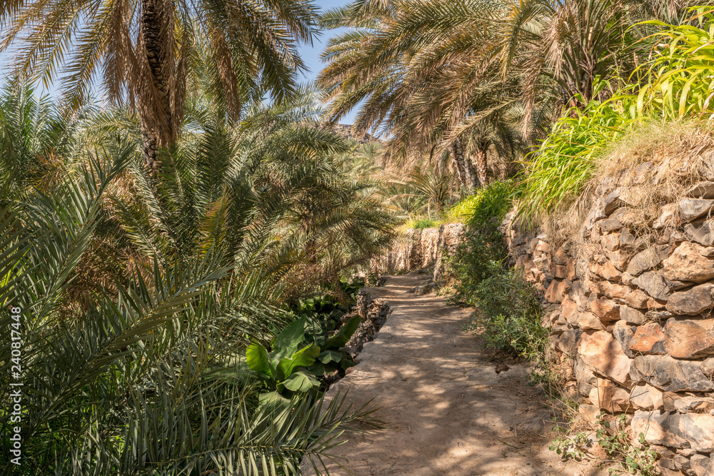 Obraz premium Terraces around Misfat, Oman