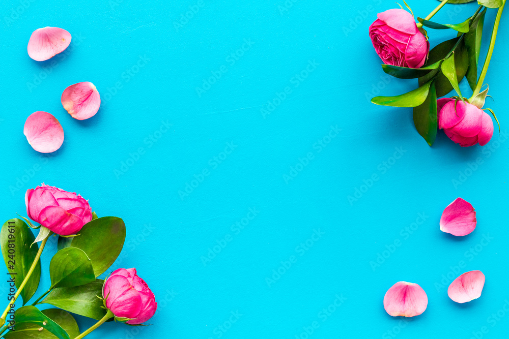 Rose flowers background. Rose roses on blue background top view space for textborder