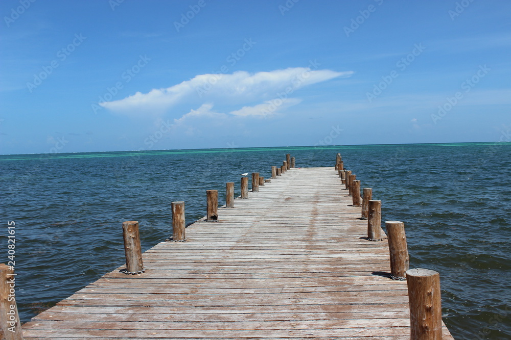 Fototapeta premium Paisaje