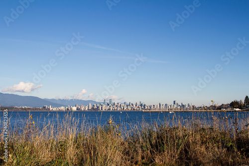 View of downtown Vancouver from across English Bay  View of Vancouver through the grassy shore of English Bay