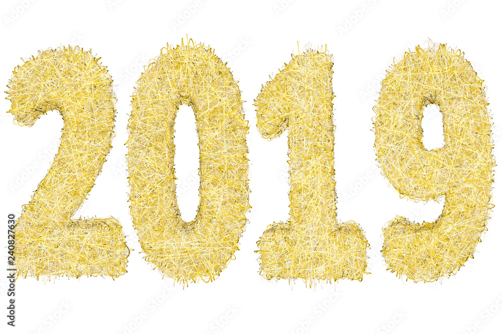 2019 digits composed of golden and silver stripes isolated on white 2019 digits composed of golden and silver stripes isolated on white