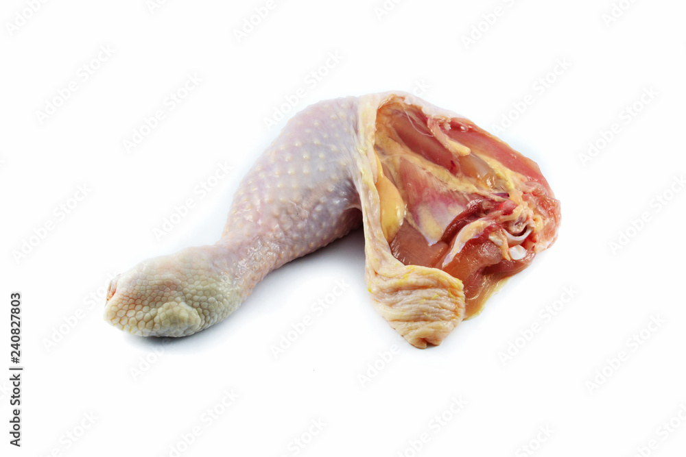 chicken leg / Fresh raw chicken leg isolated on white background