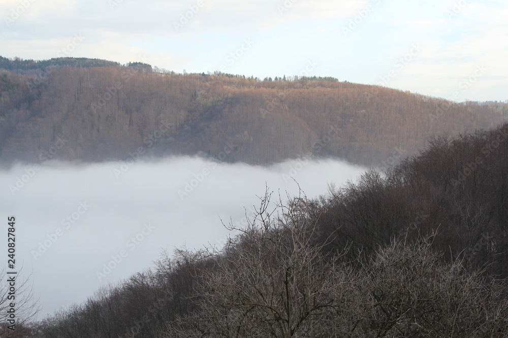 Fototapeta premium Hukvaldy obora autumn