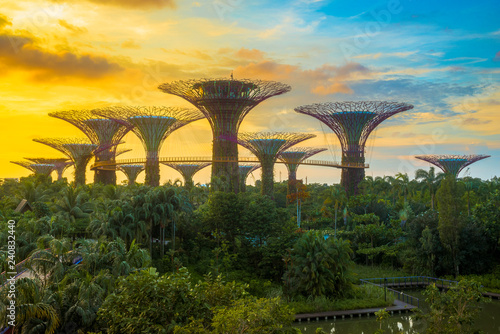 View of Supertree Grove from Gardens by the Bay, Singapore.  photo